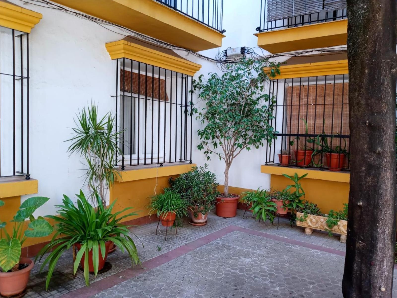 Roberta'S Guest House เซบีญา ภายนอก รูปภาพ